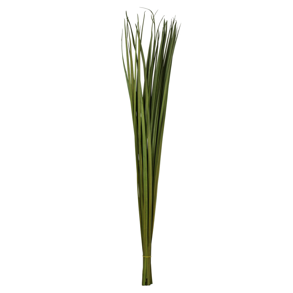 36-40 in. Foliage Green Sable Grass - 7 oz