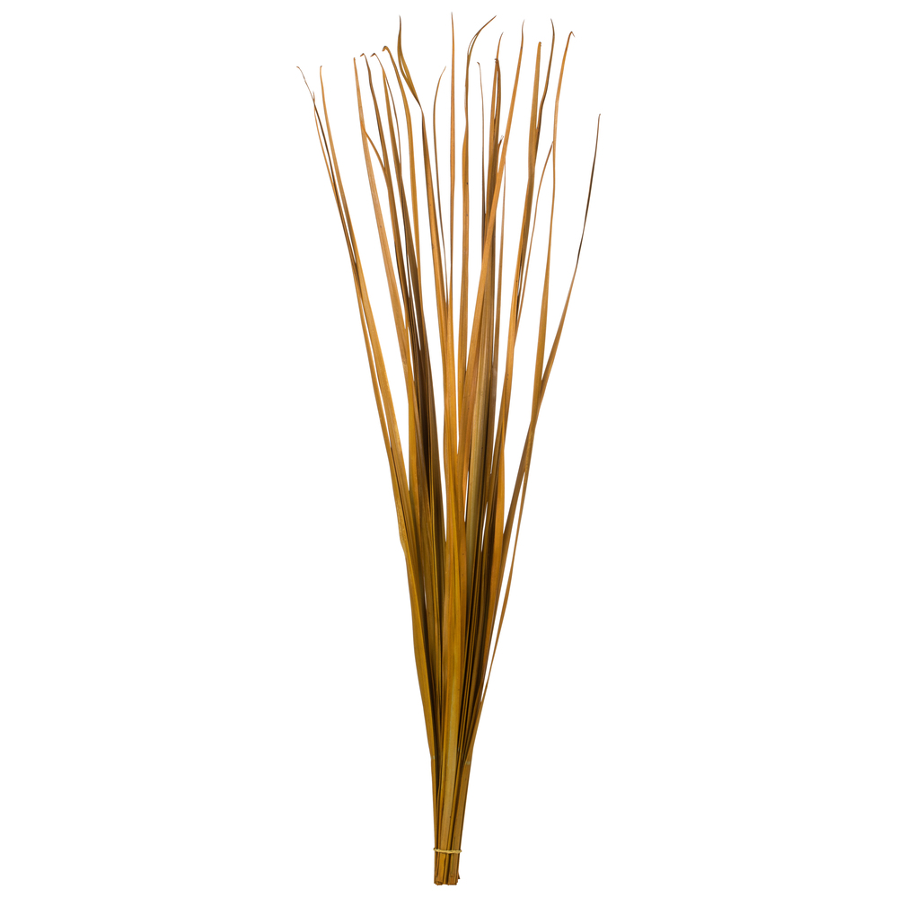 36-40 in. Aspen Gold Sable Grass - 7 oz