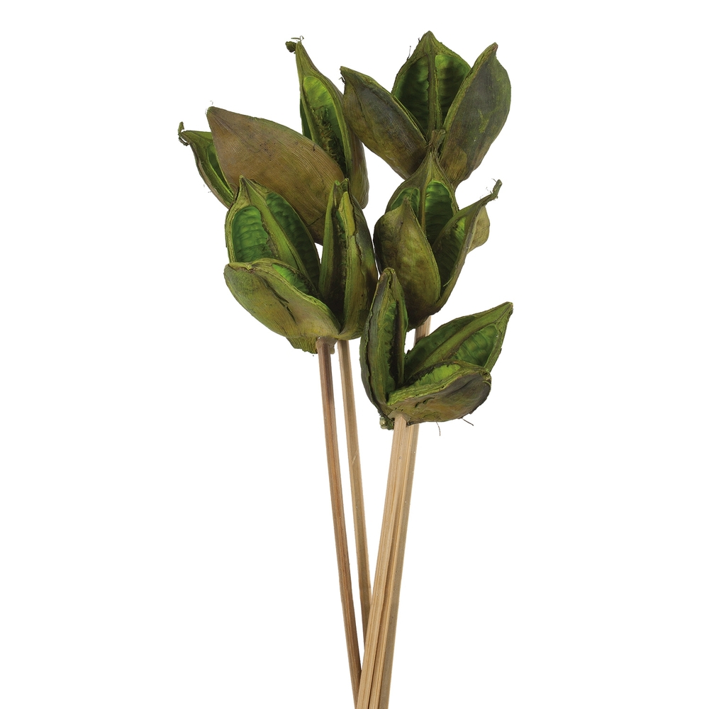 16 in. Basil Sora Pods on Stems