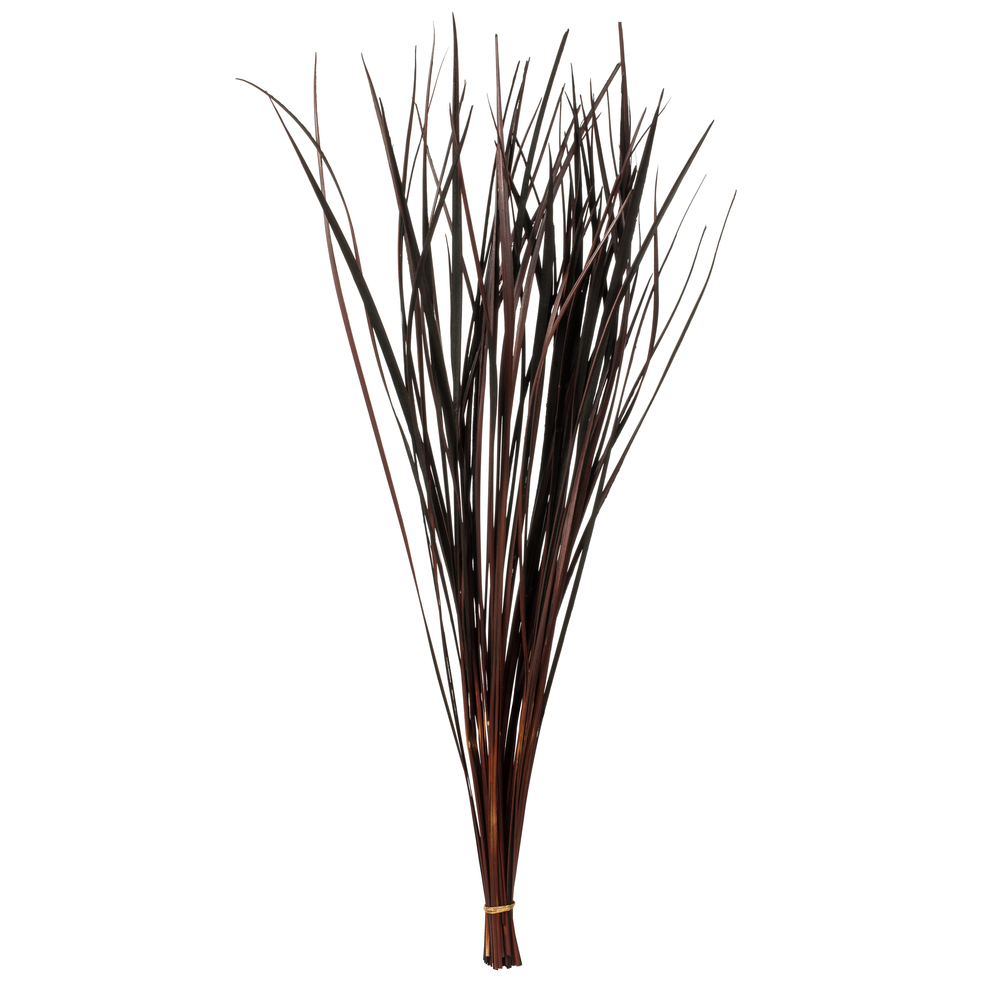 28-36 in. Brown Splinter Grass - 11 oz