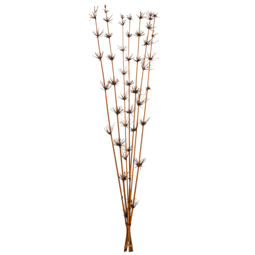 36-40 in. Brown Star Bamboo Reed Stems