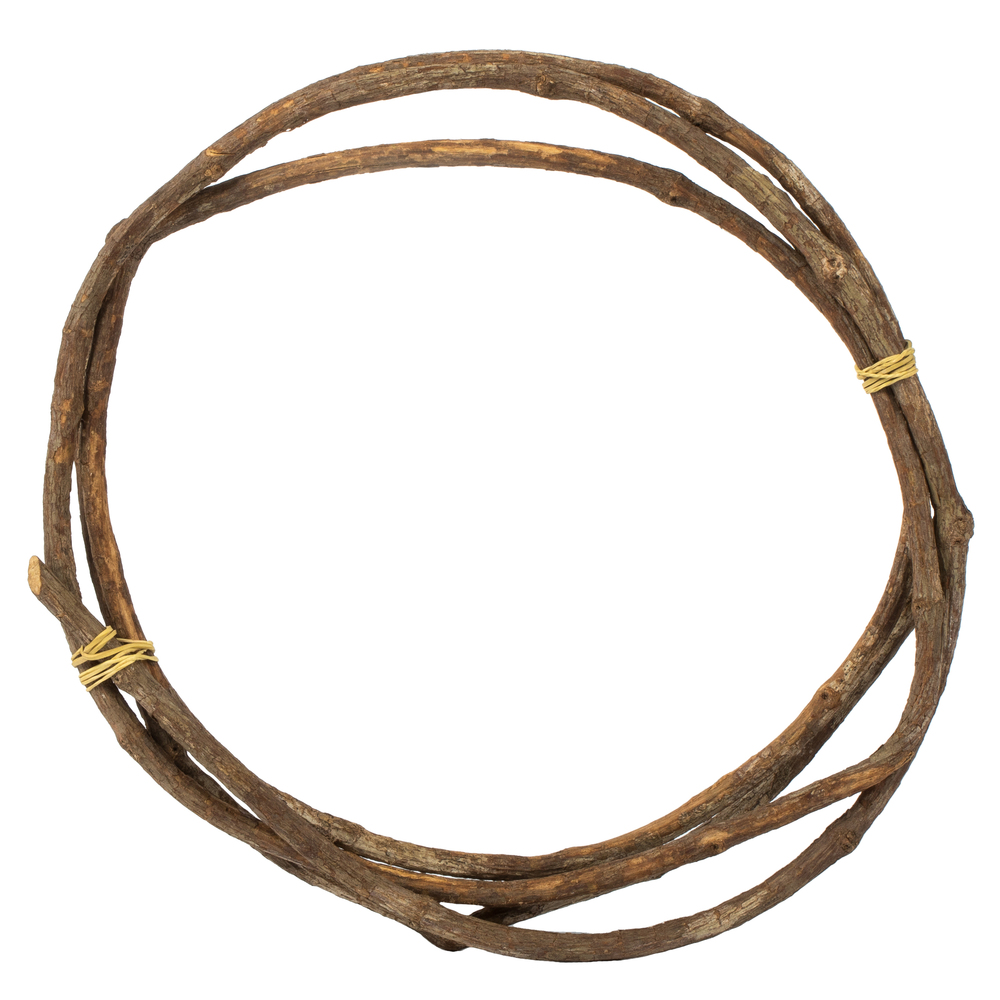 95-100 in. Natural Tranca Vine Coil