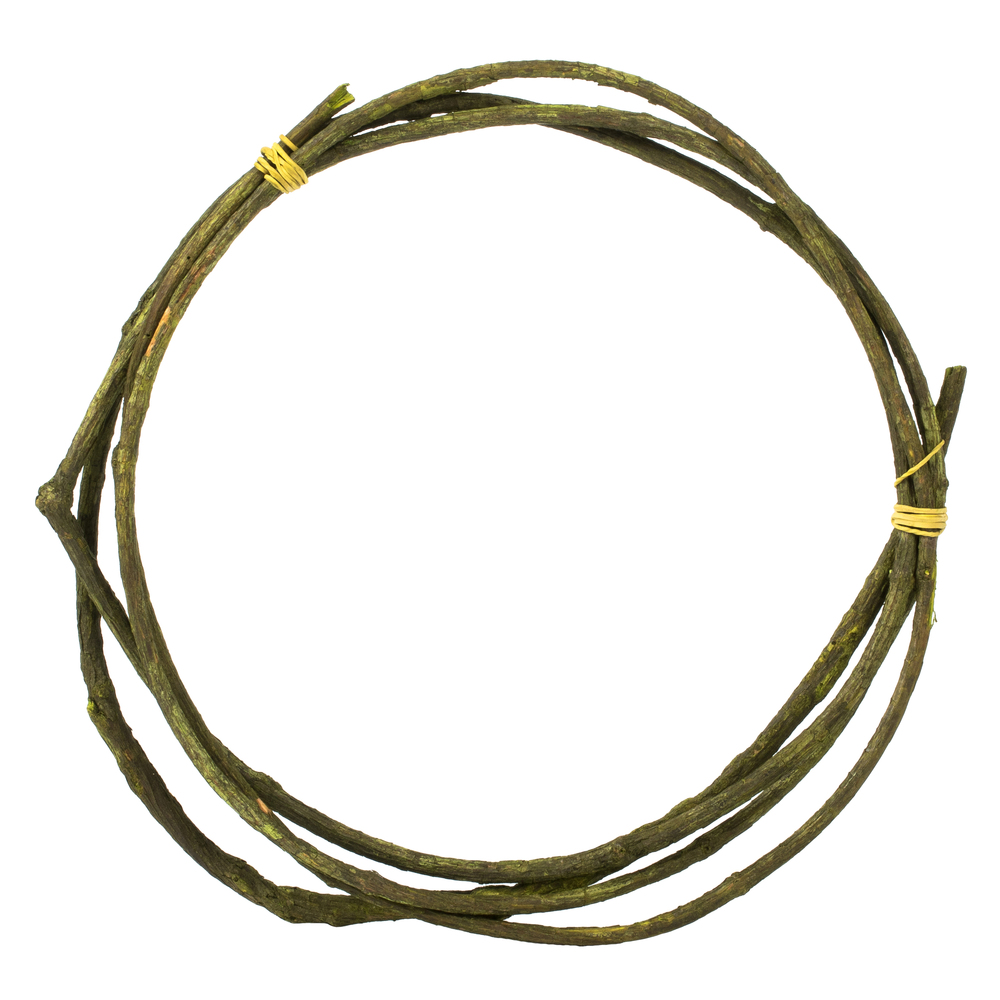 95-100 in. Basil Tranca Vine Coil