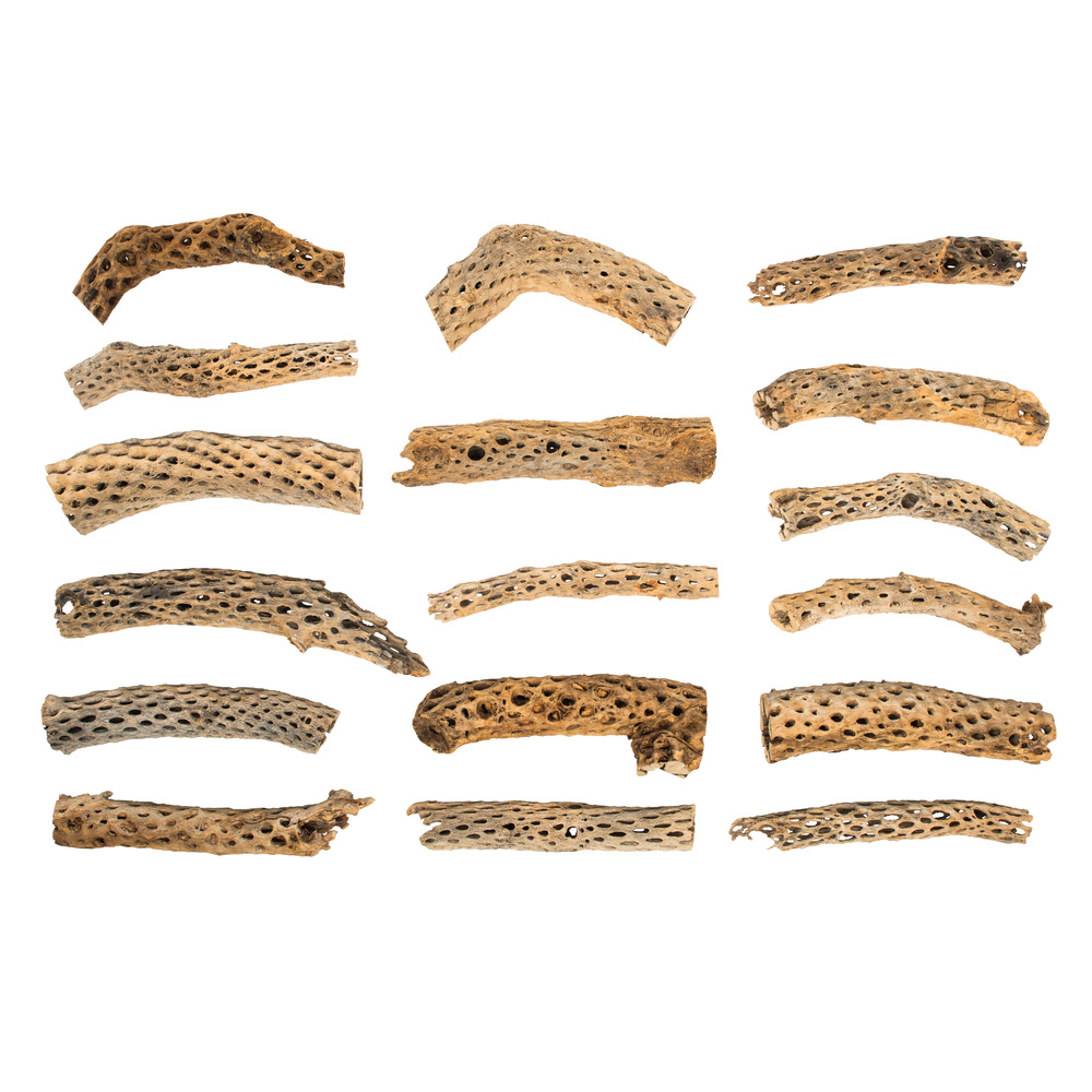 H4COE000 4 -18 in. Assorted Cholla Odds & End
