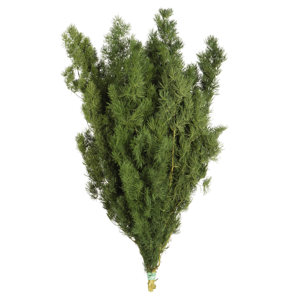 VICKERMAN