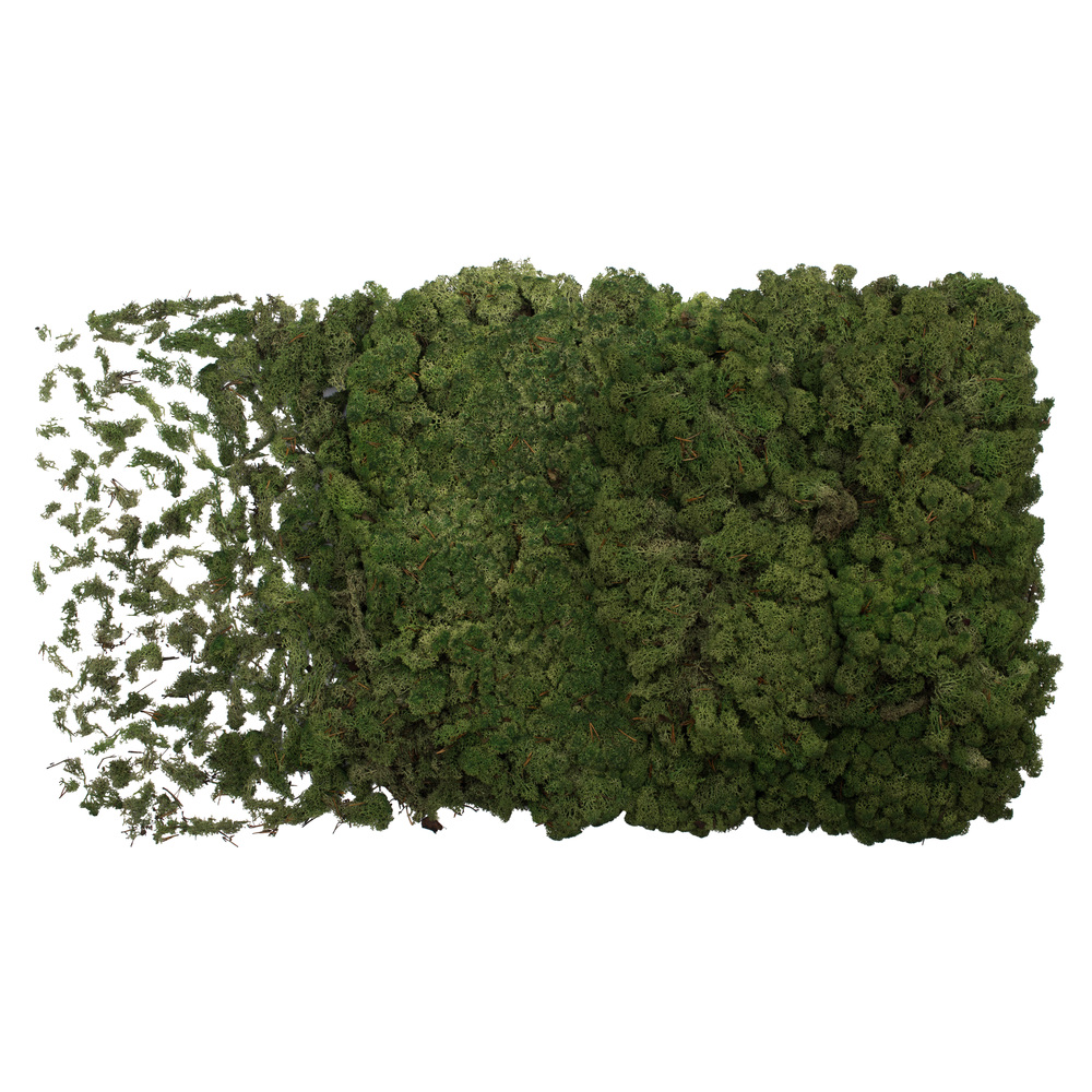 8.8 lbs Bulk Green Reindeer Moss