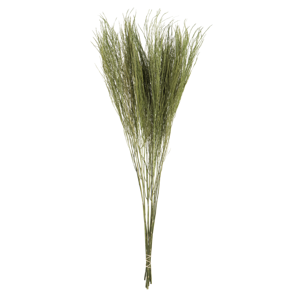 VICKERMAN