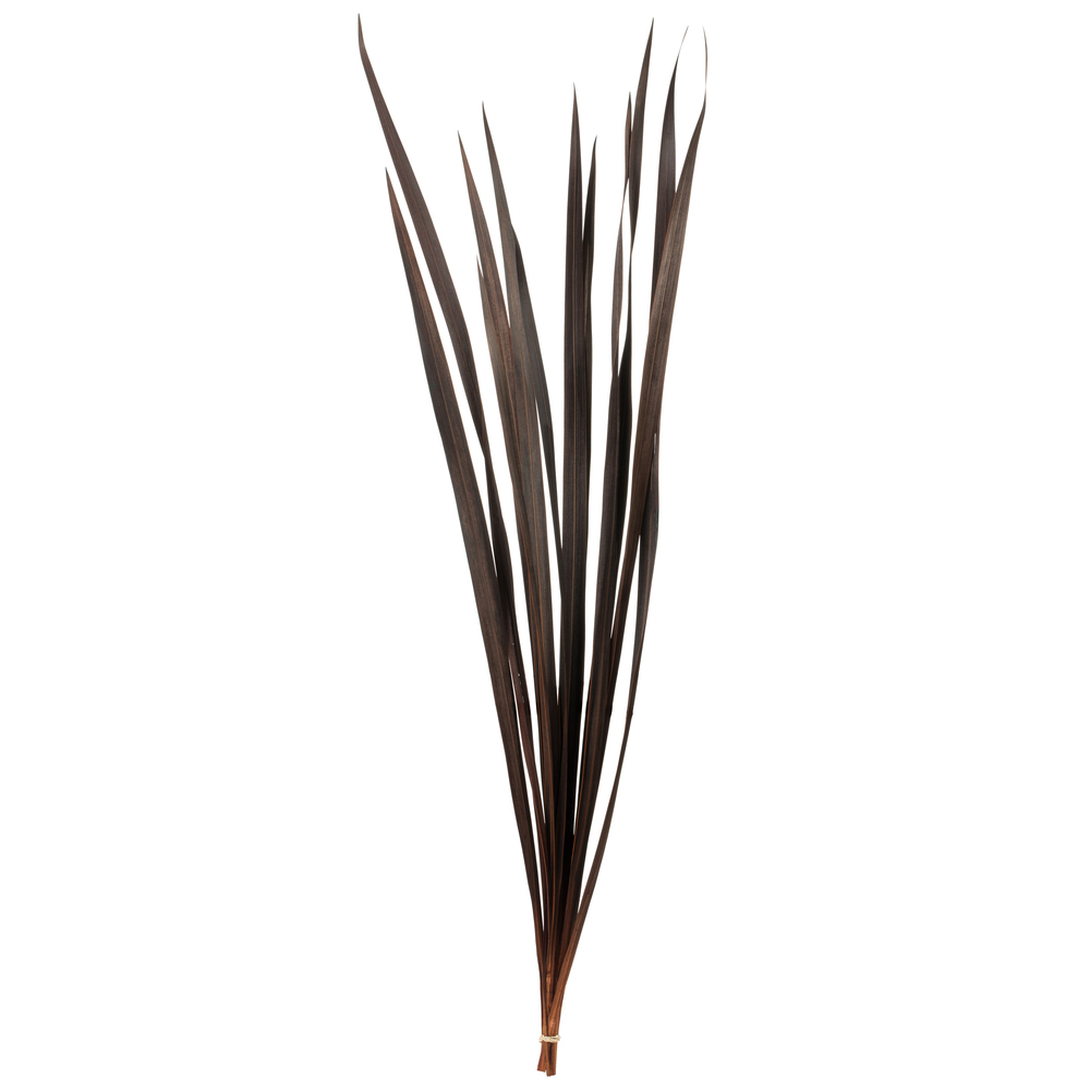 18-30 in. Brown Snake Grass Stems with 12 oz Bundle