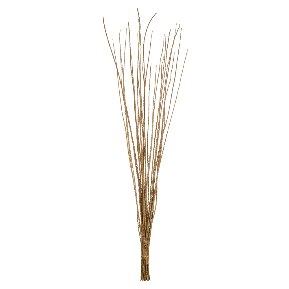36-40 in. Ivory Caba Spines with 8 oz Bundle