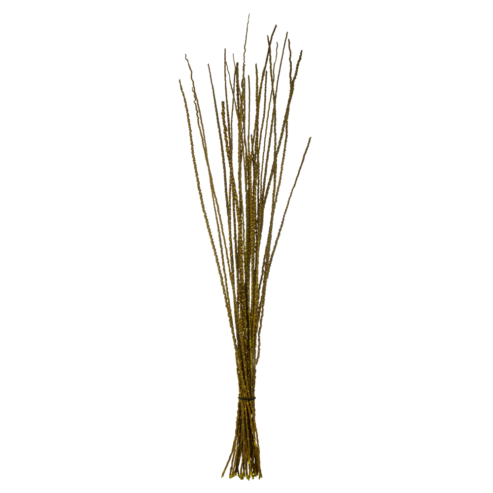 36-40 in. Light Basil Caba Spines with 8 oz Bundle