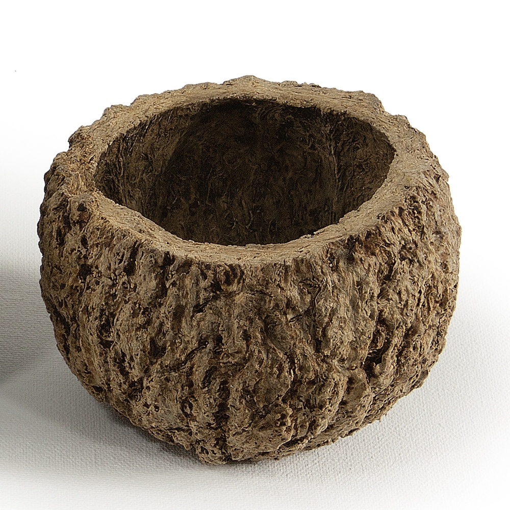3-4 in. Natural Mayan Coconut
