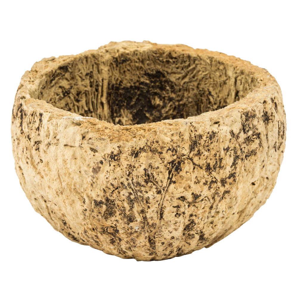 3-4 in. Half Bleached Mayan Coconut