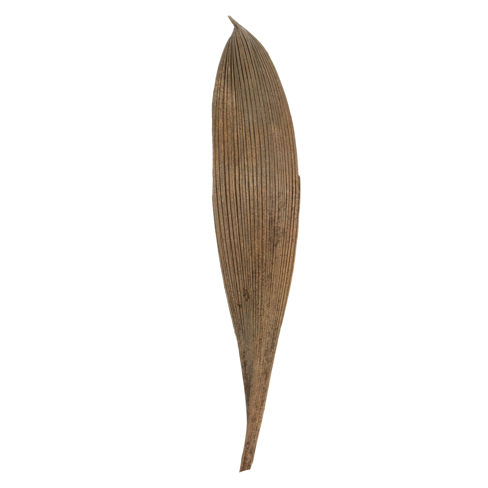 6-12 in. Natural Palm Paddles Florida Tree - 45-50 per Pack