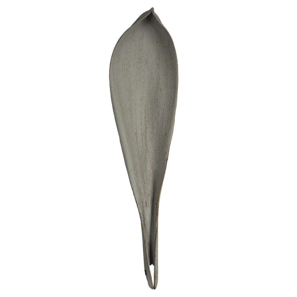 24-30 in. Grey Wash Palm Paddles Florida Tree