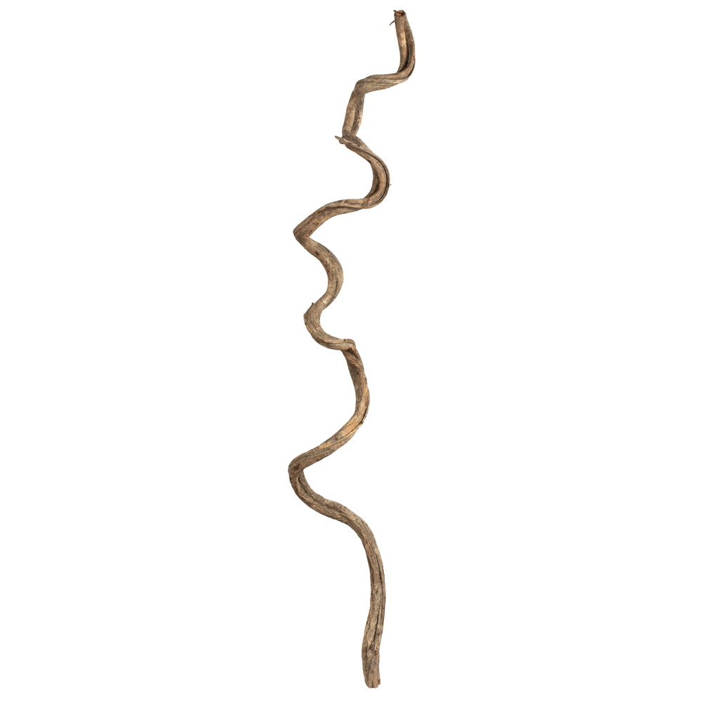 38-45 in. Natural Twisted Vine