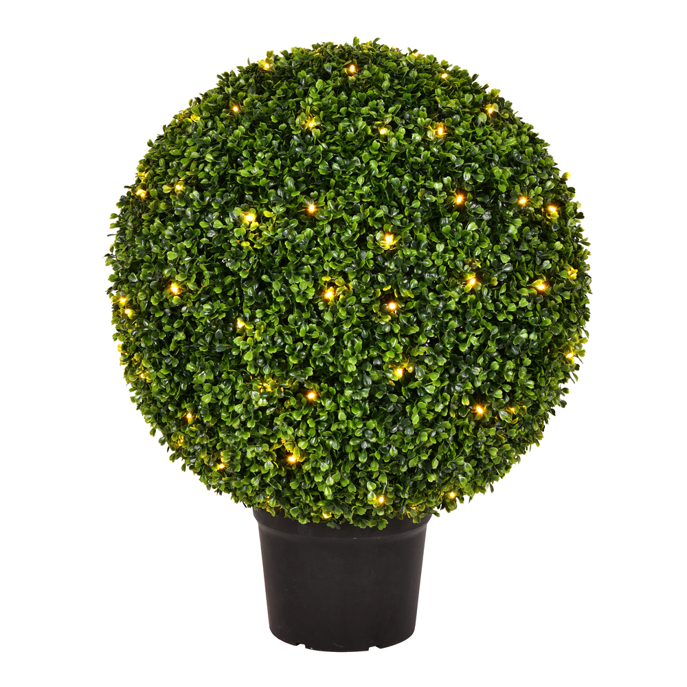 24 in. Boxwood Ball in Pot UV 100 Warm White LED Light