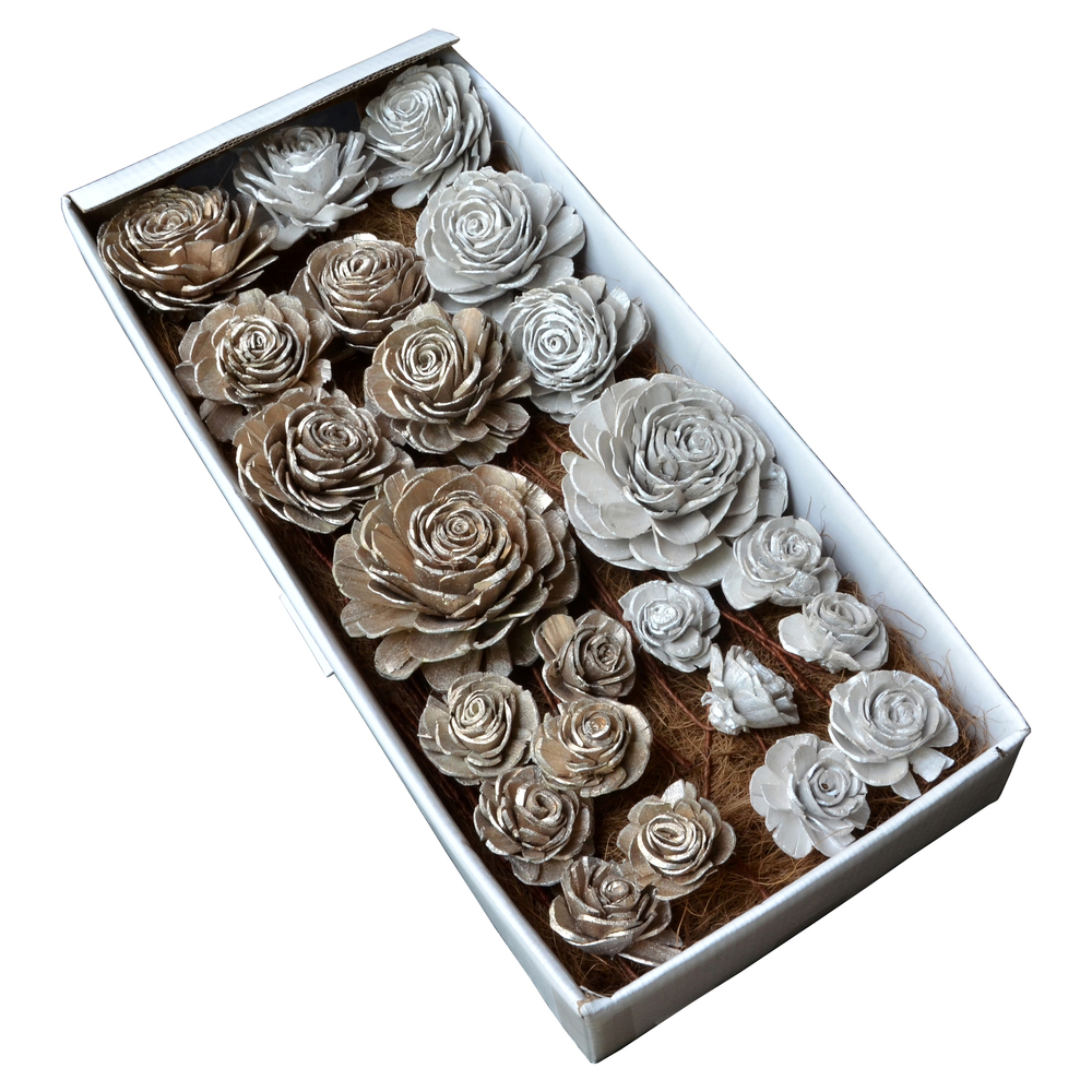 Vickerman 664957-2"- 6" Wht Champagne Sola Rose Asst 23Bx (H6SOL2025) Dried and Preserved Foliage