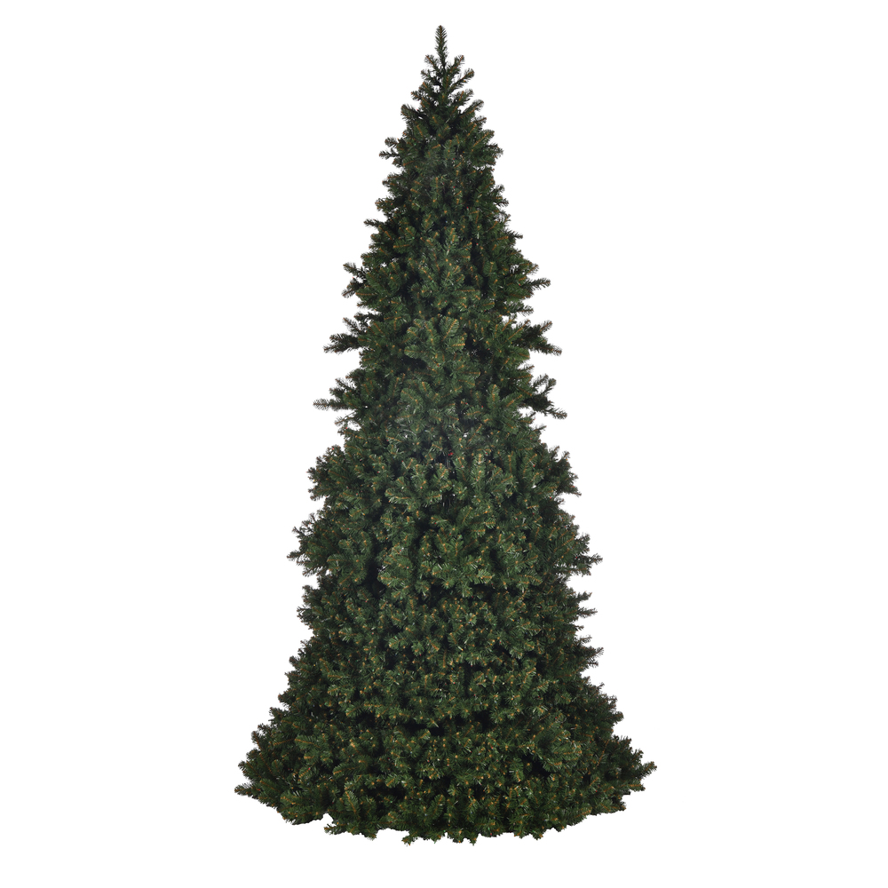 14 ft. x 74 in. Artificial Slim Grand Teton Frame Tree with Unlit Lights
