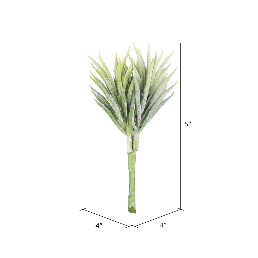 5 in. Seneco Succulent, Green & White - Pack of 6