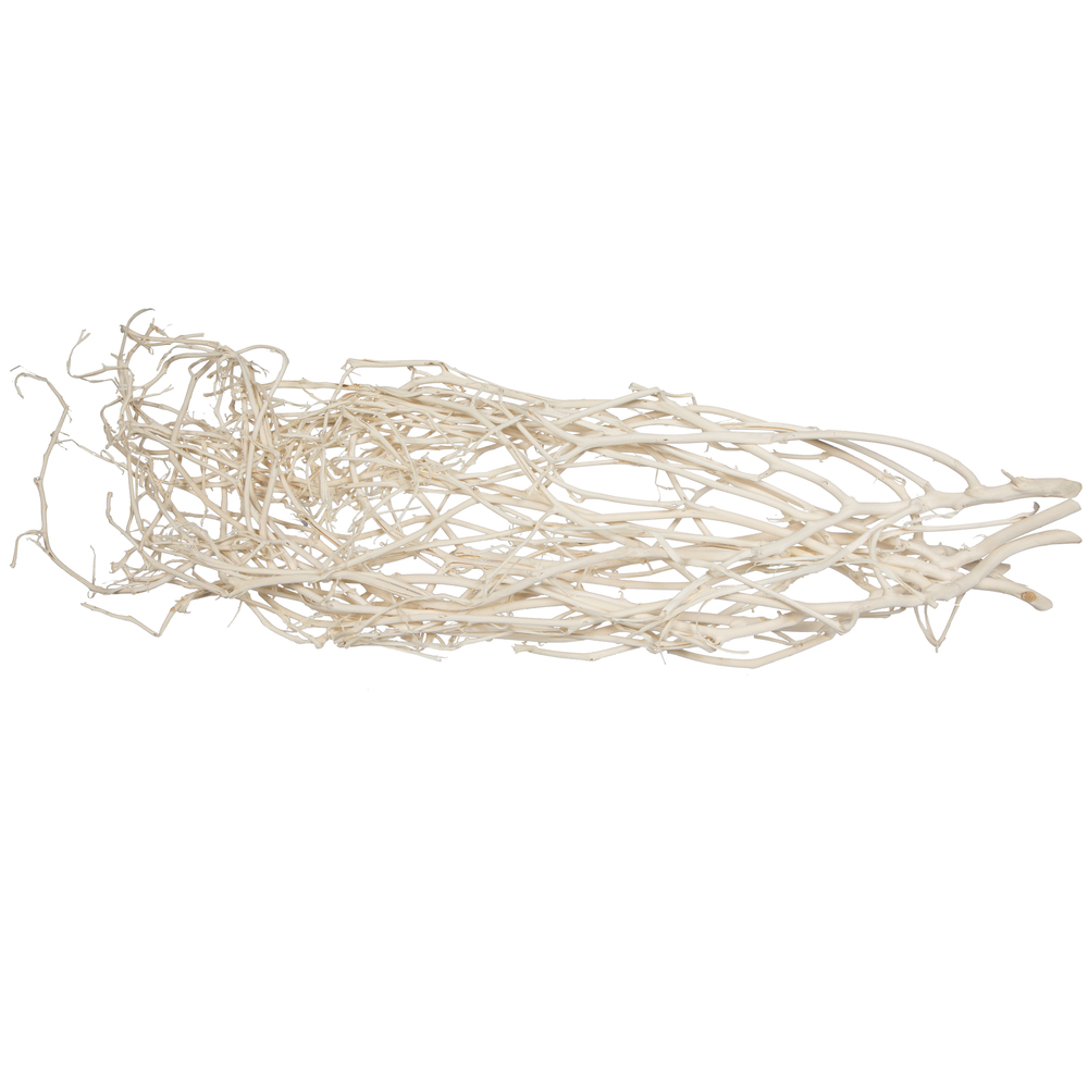 32 in. Natural Botanicals Begun Tree, Bleached - 5 Piece per Pack