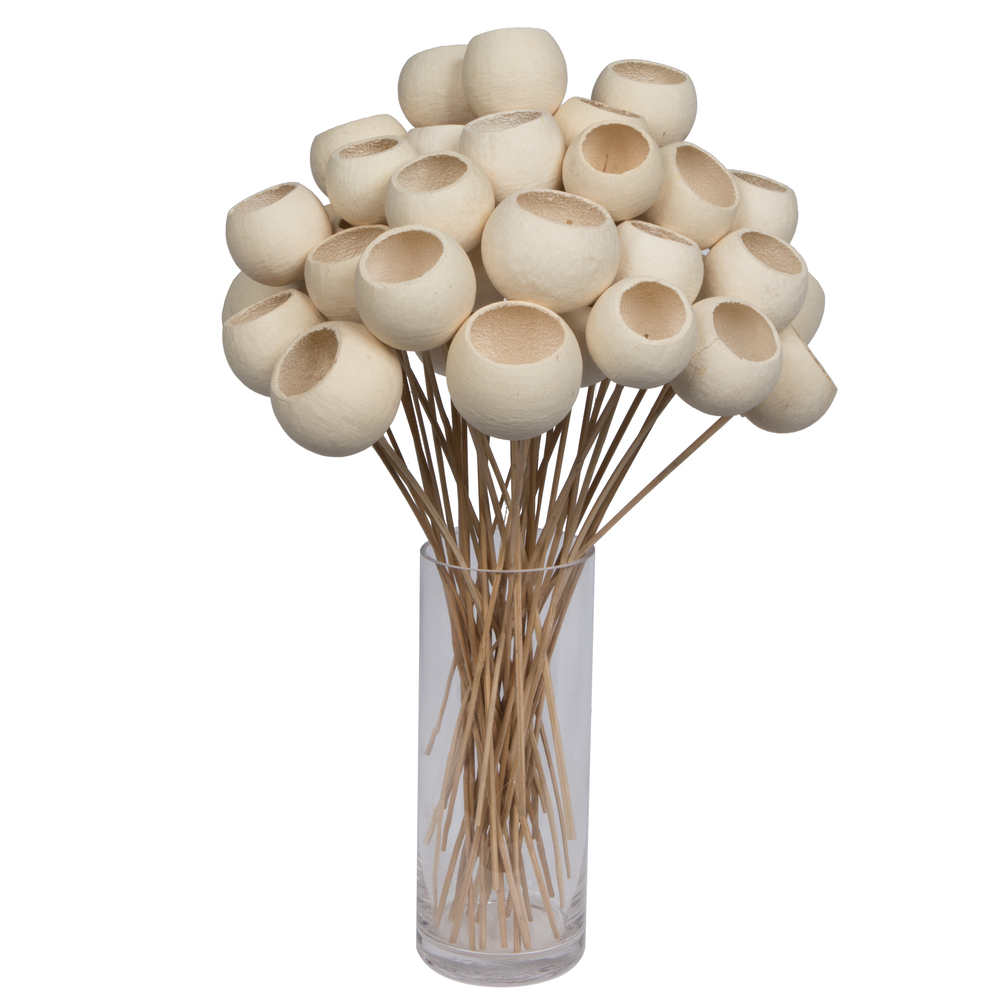 20 in. Bell Cup Bleached Stem, Natural - Pack of 40