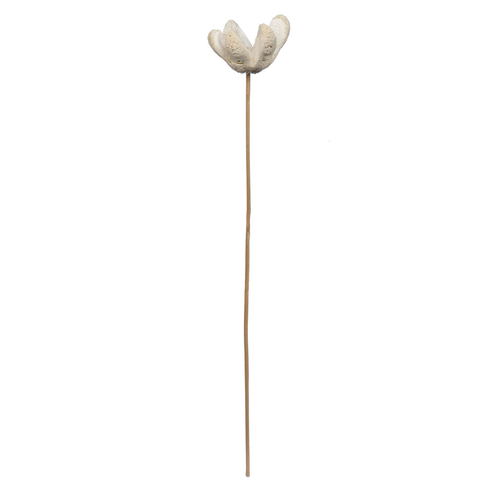 20 in. Bullet Bleached Decorative Flower, Bleach - 50 Stems per Pack