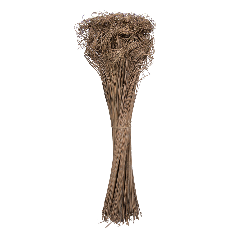 Vickerman 678886-24" Curly Ting Ting Natural Bunch 10/Pk (H7CTT000) Dried and Preserved Pods