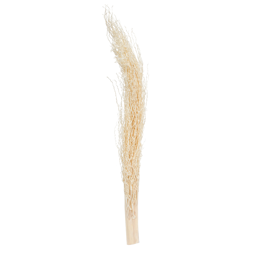 8 to 12 in. Khejur Jhar, Bleach - 25 Piece