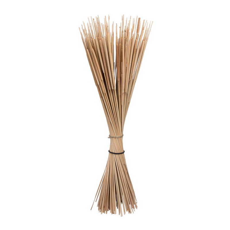 24 in. Reed Spadix Pencil Botanicals, Natural - 150 Piece