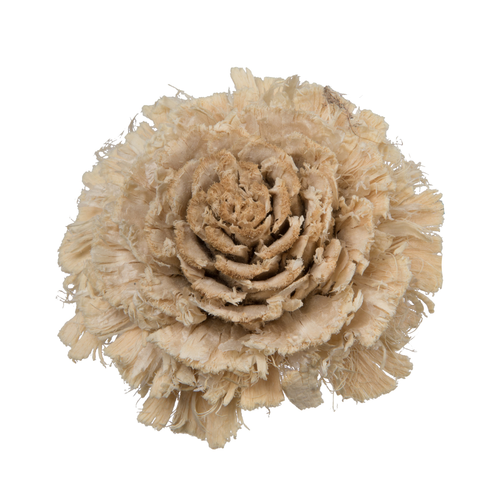 1.57 in. Natural Botanicals Cedar Rose, Bleached - 50 Piece