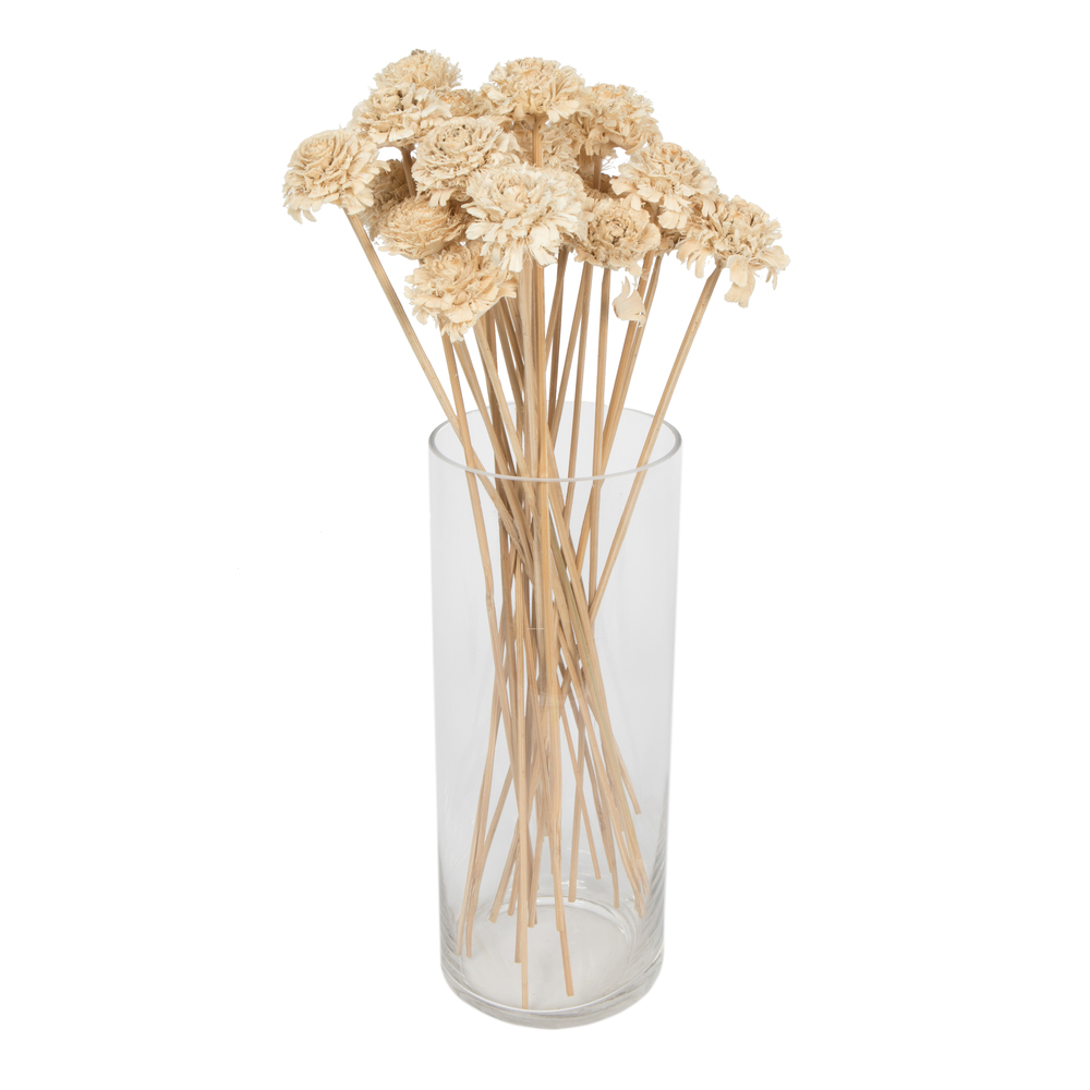 1.57 in. Natural Botanicals Cedar Rose, Bleached on Stem - 50 per Unit