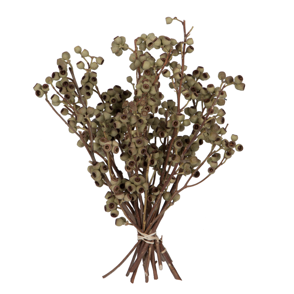 14 x 1-3 in. Ambernut Branch Bunch, Natural - 20 Piece