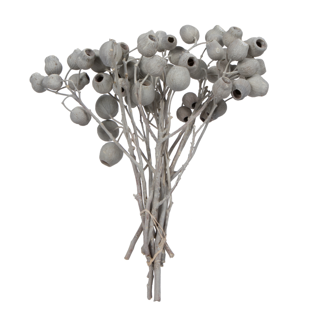 11 x 4 in. Belgium 5-7 Bells Bunch Pod, Ivory - 10 Piece