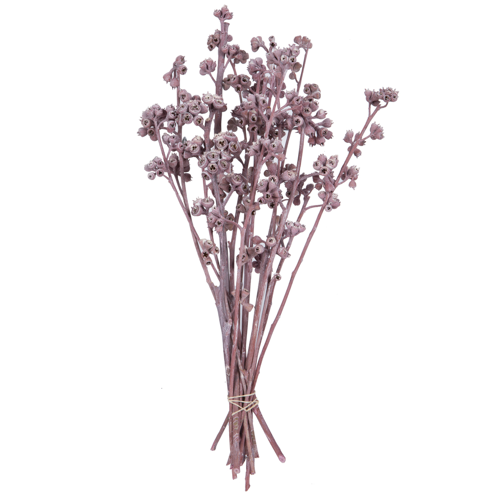 13 x 1-3 in. Frosted Branch, Erika - 14 Piece