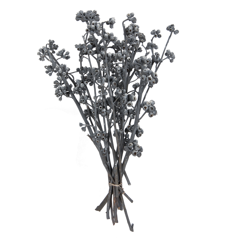 13 x 1-3 in. Frosted Branch, Grey - 14 Piece