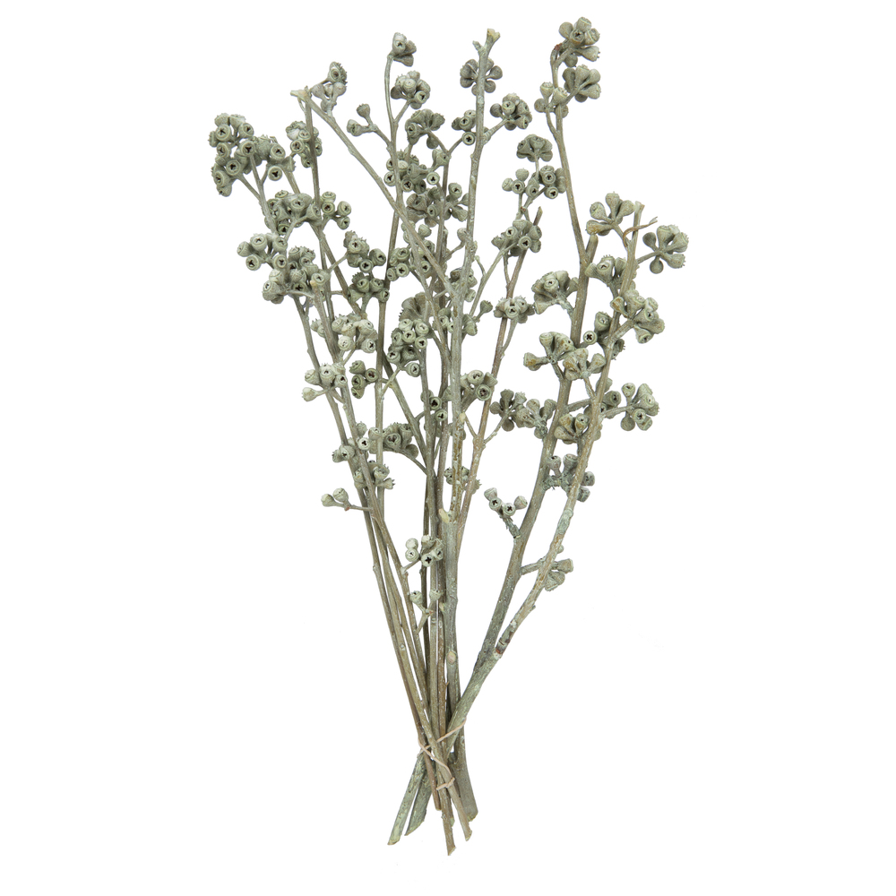 13 x 1-3 in. Frosted Branch, Green - 14 Piece