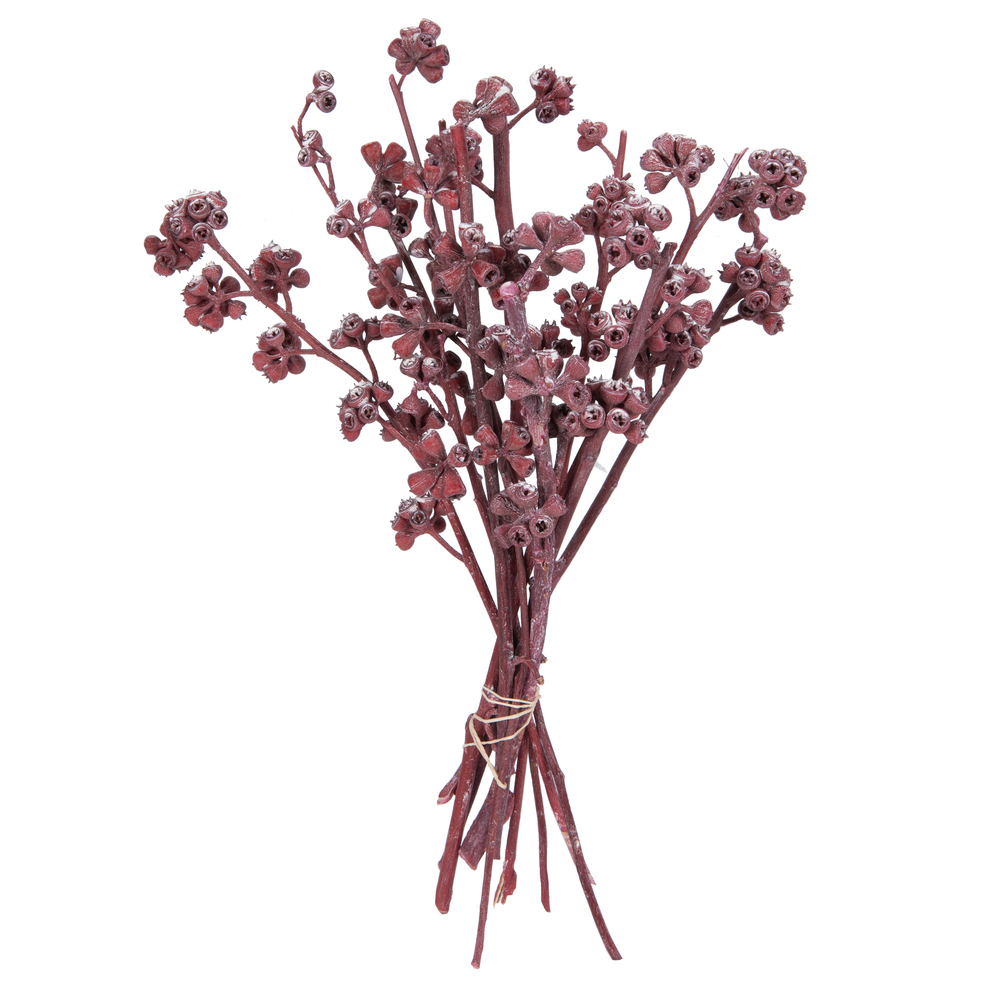 13 x 1-3 in. Frosted Branch, Red - 14 Piece
