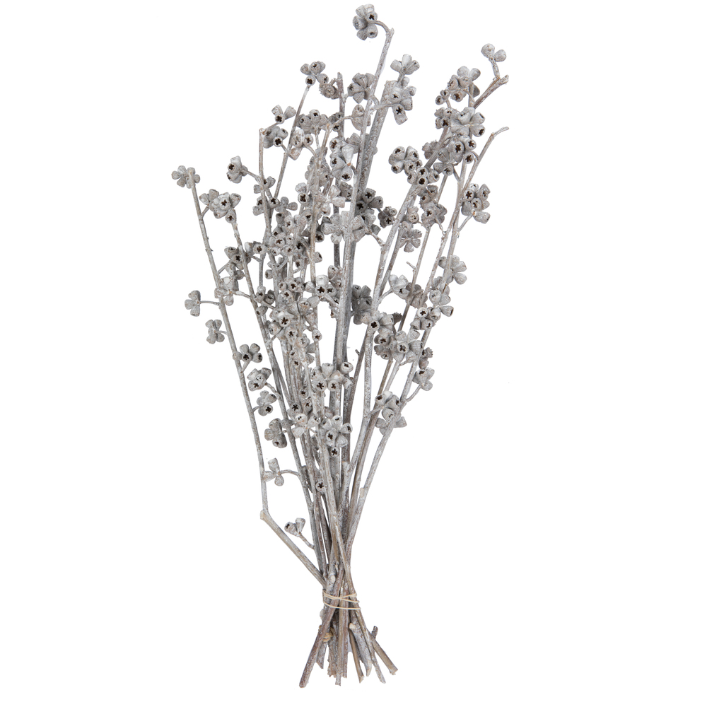 13 x 1-3 in. Frosted Branch, White Washed - 14 Piece