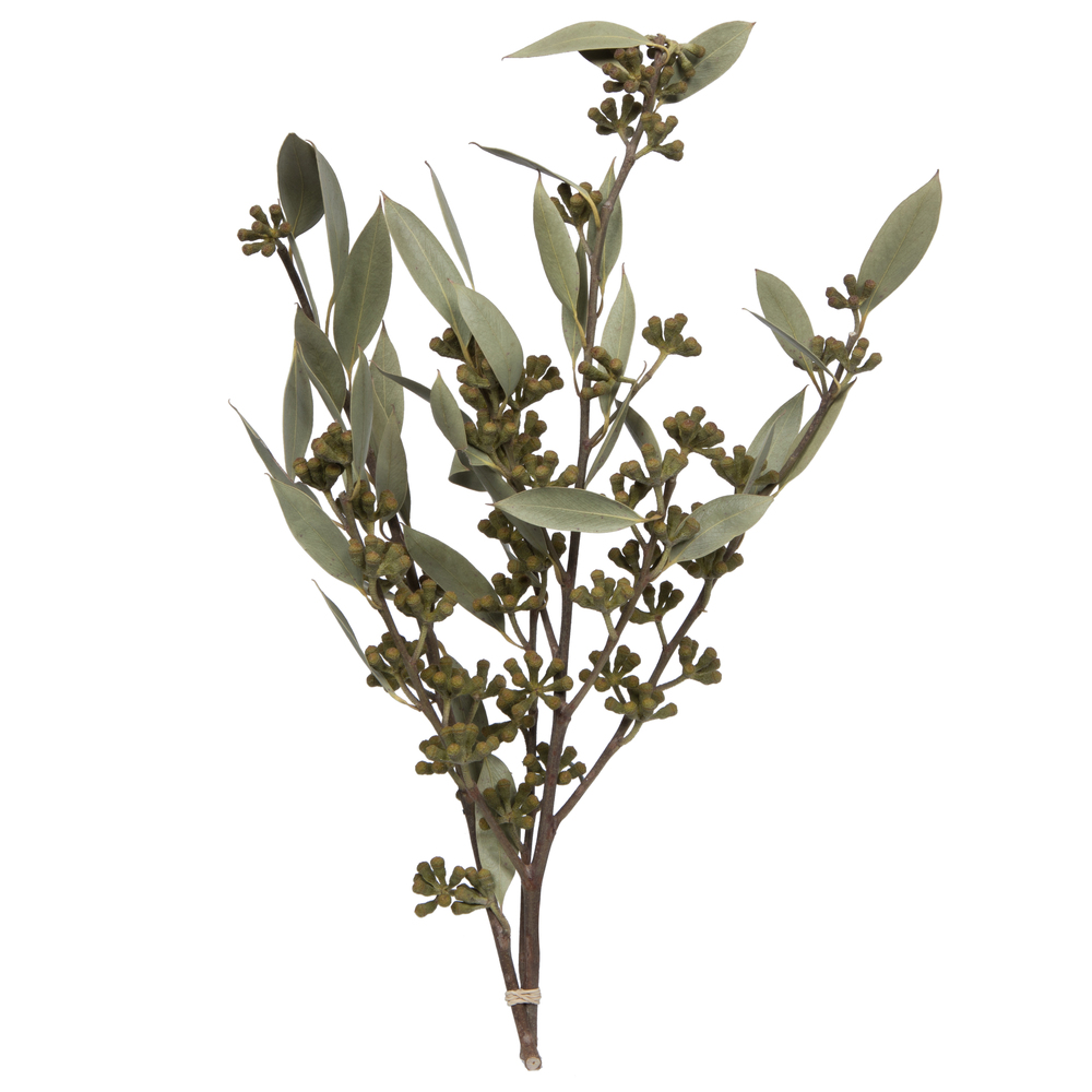 8 in. Amber Fruit Foliage, Natural Sulphured - 3.5 oz