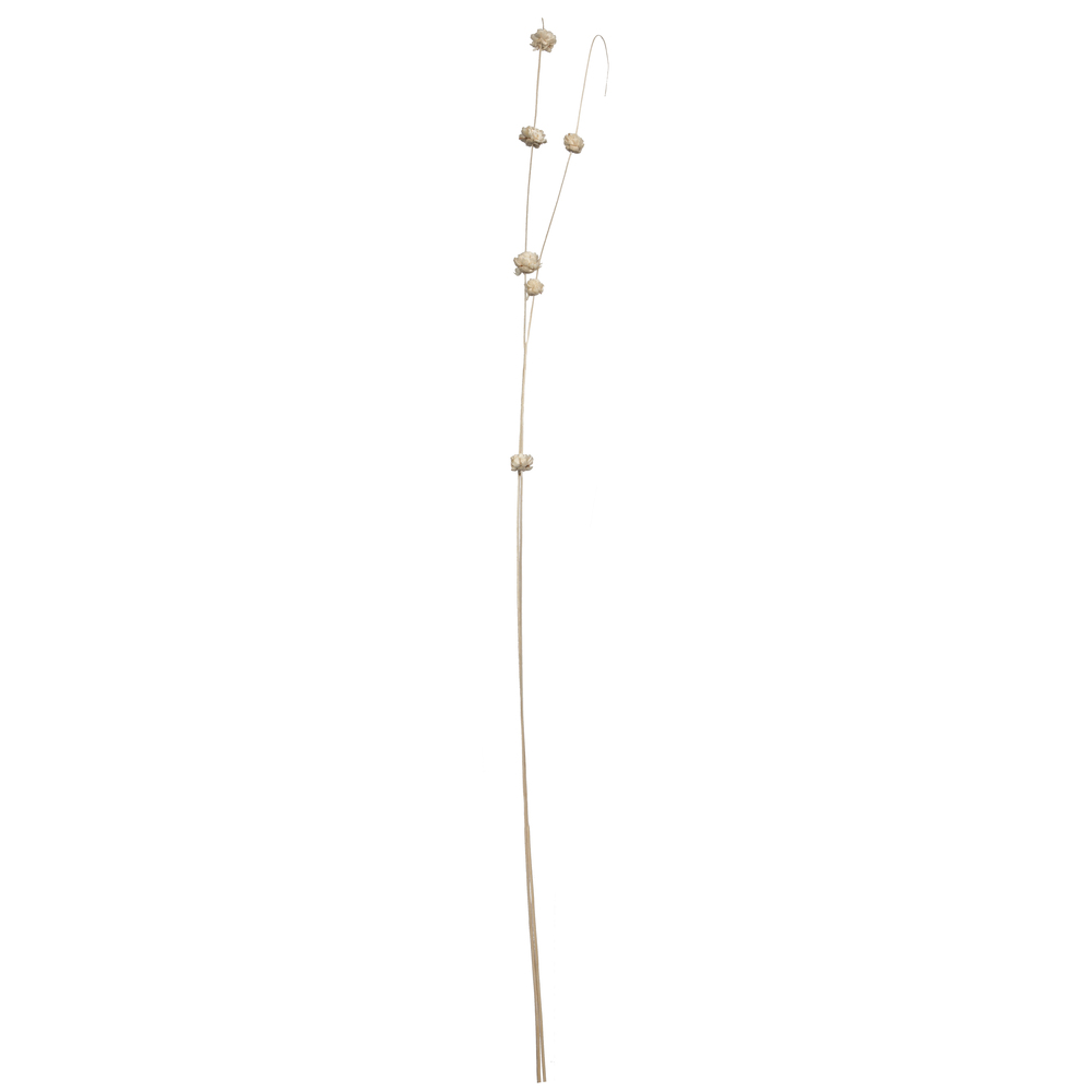 40 in. Bleach Coco Natural Sola Zinni Artificial Flowers, Natural - 24 per Bag