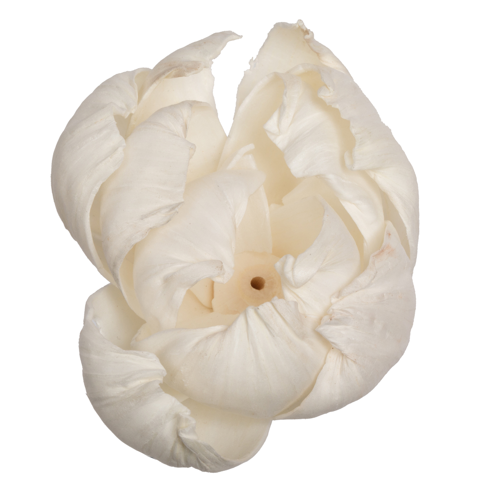 1-3 in. Assorted Peony Sola Head Artificial Flowers, Natural - 24 per Bag