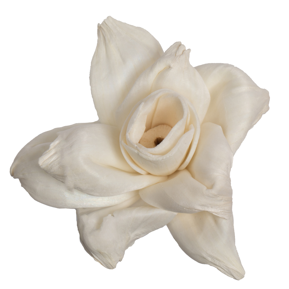 1-3 in. Assorted Jonquil Sola Head Artificial Flowers, Natural - 24 per Bag