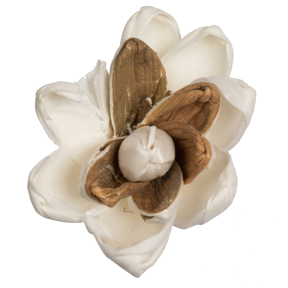 1-3 in. Assorted Lillian Sola Head Artificial Flowers, Natural - 24 per Bag
