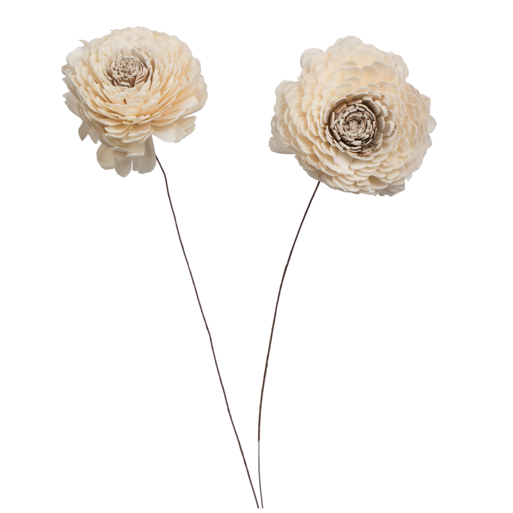 4 in. Charki Sola 12 in. Stem Artificial Flowers, Natural - 12 per Bag