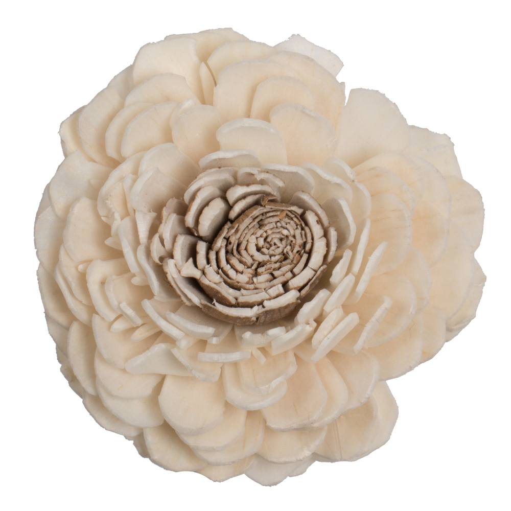 1-3 in. Assorted Charki Sola Head Artificial Flowers, Natural - 24 per Bag