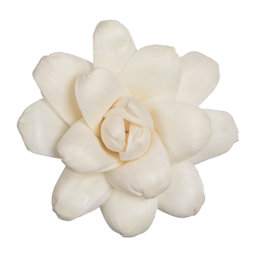 1-3 in. Assorted Eleanor Sola Head Artificial Flowers, Natural - 24 per Bag