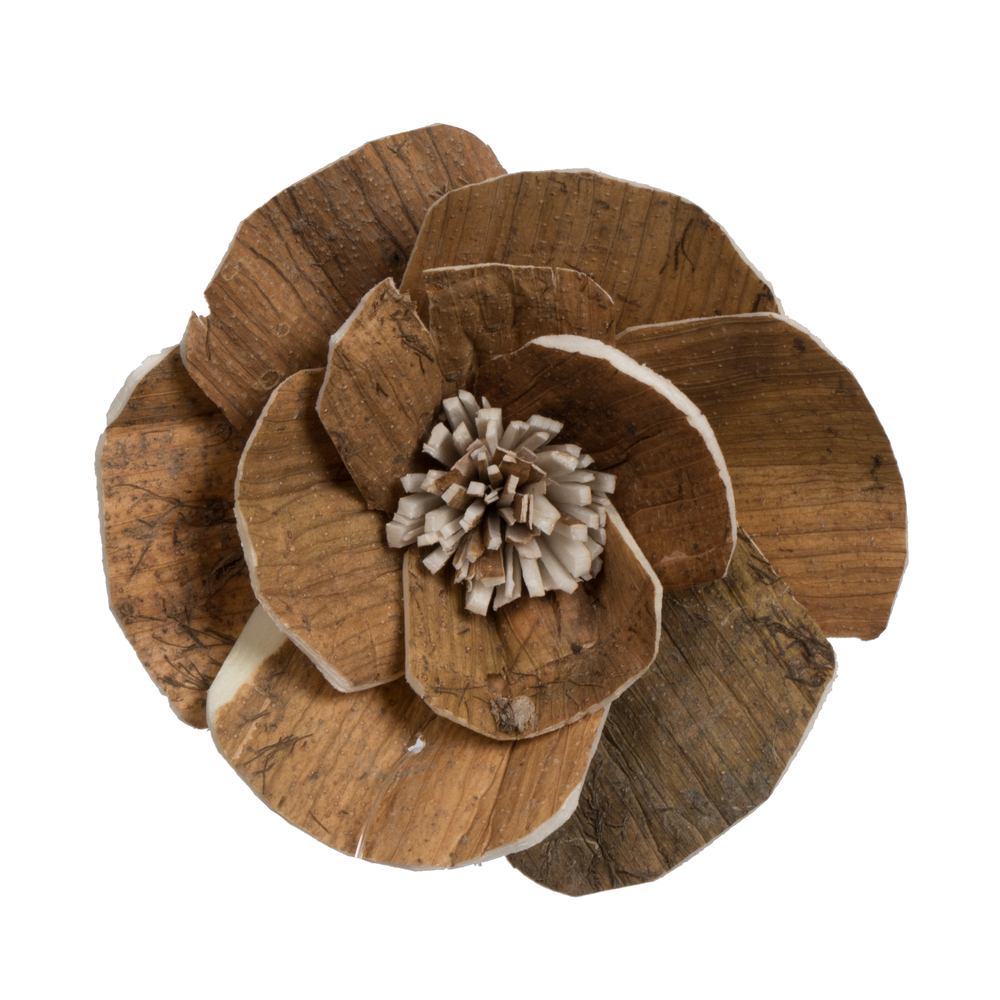 1-3 in. Assorted Walnut Sola Head Artificial Flowers, Natural - 24 per Bag