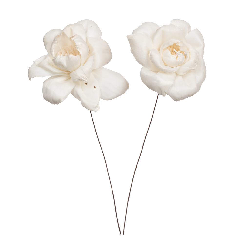 H7SFS036 4 in. Rosette Sola Flower On Stem Artificial Flower, Natural - 12 in. - 12 per Bag