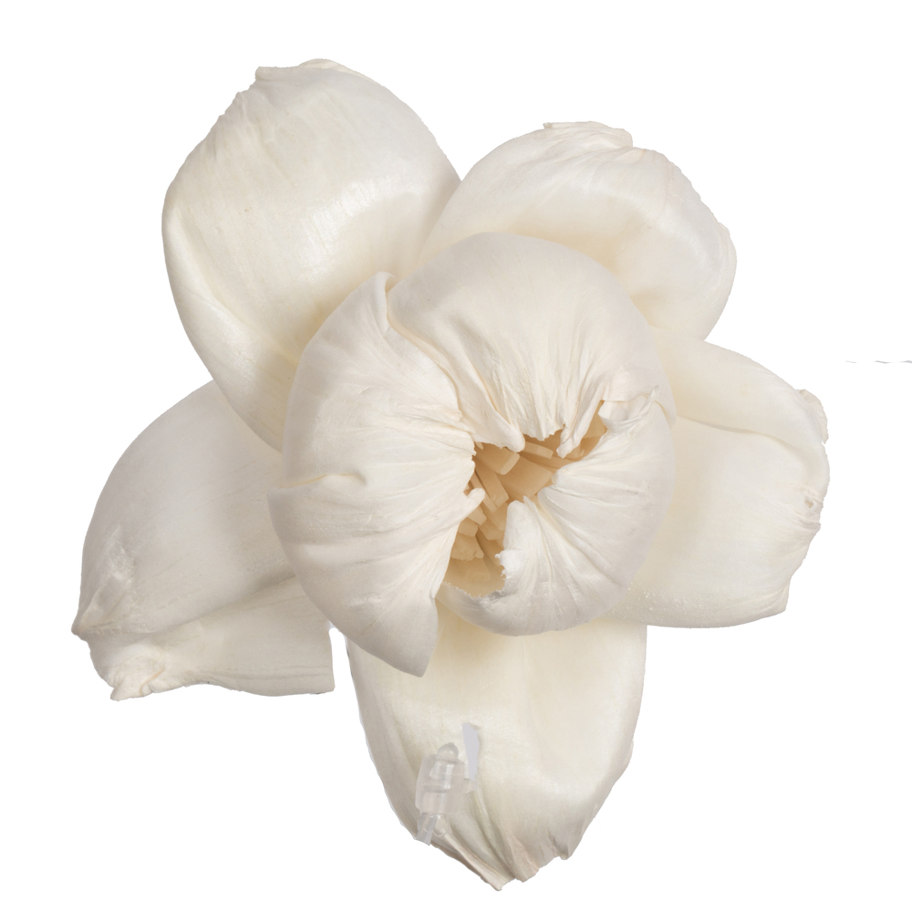 1-3 in. Assorted Rosette Sola Head Artificial Flowers, Natural - 24 per Bag