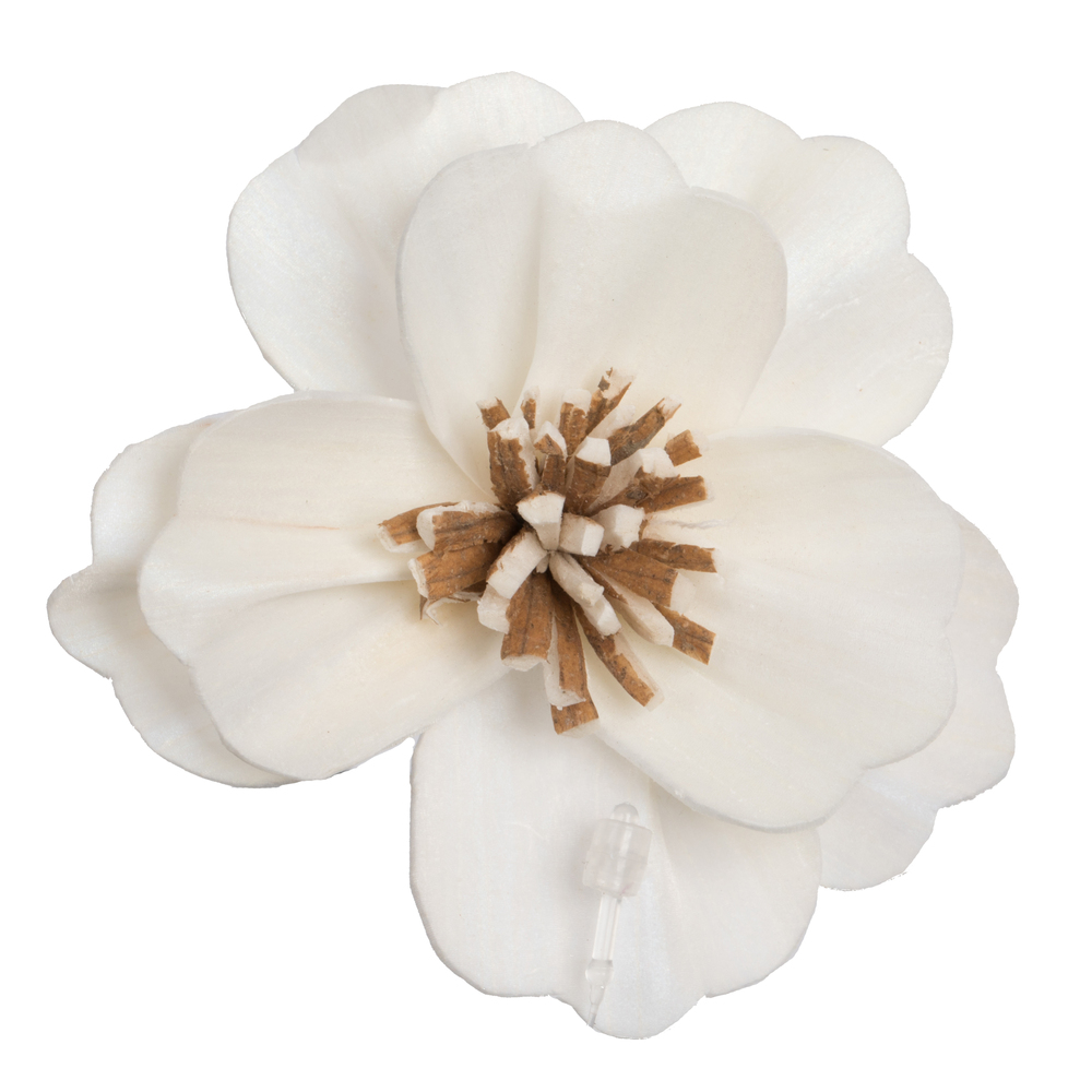 1 - 3 in. Assorted Anemone Sola Head - Pack of 24